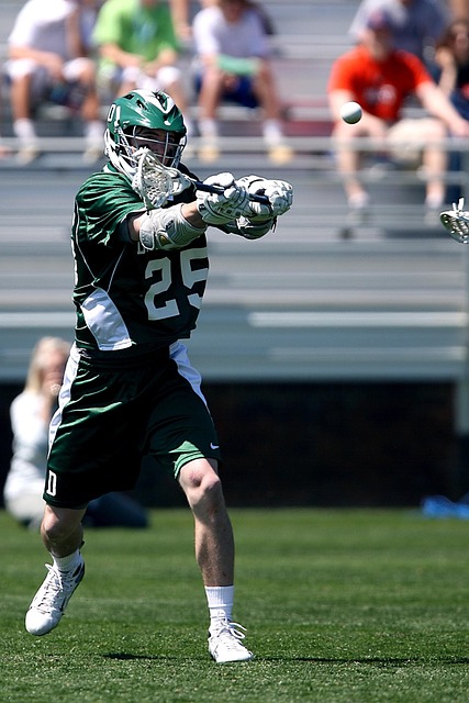 球旅程与心 球旅程与心